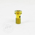 Proti M10 Universal Single Banjo Bolt M10L19-OT02- Dual Drive - 19mm long, 1.0 Pitch Proti M10 Universal Single Banjo Bolt M10L19-OT02- Dual Drive - 19mm long, 1.0 Pitch